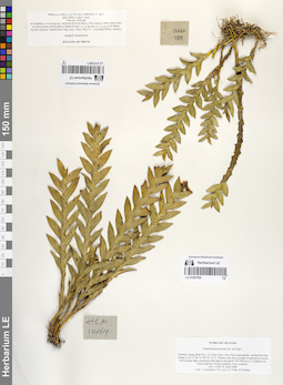 LE 01067659