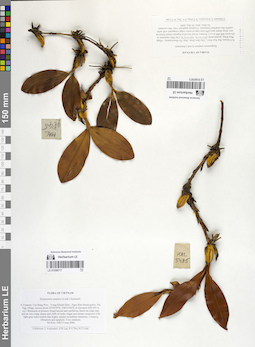 LE 01058717