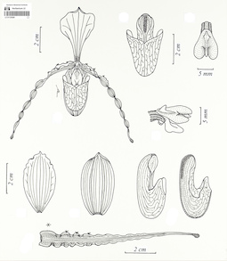 LE 01123026