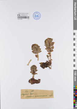 LE 01118759
