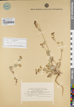LE 01072978