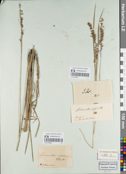 LE 01154619