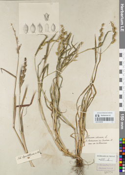 LE 01154749