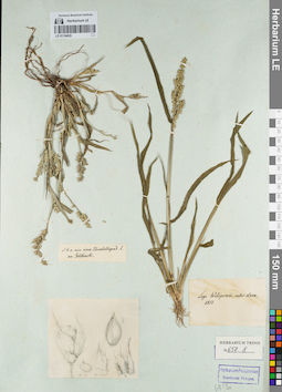 LE 01154829
