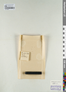 LE 01154870