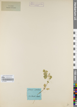 LE 01160614