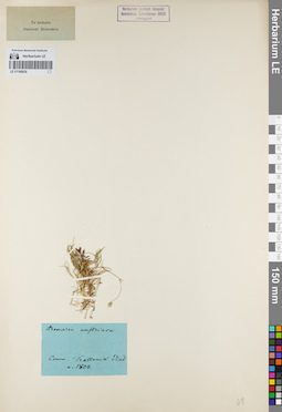LE 01160628