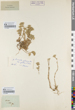 LE 01160644