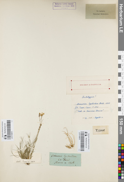 LE 01160674