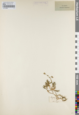 LE 01160680