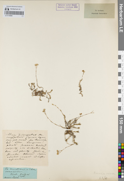 LE 01160686