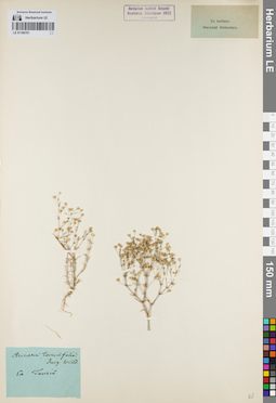 LE 01160701