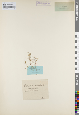 LE 01160702