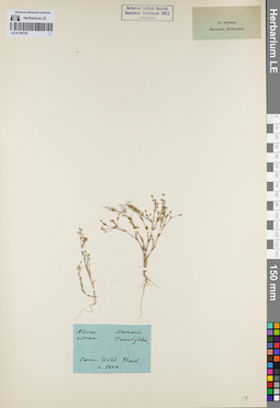 LE 01160705