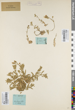 LE 01160727