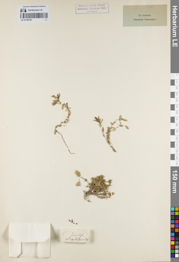 LE 01160729