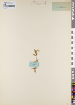 LE 01160739