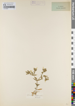 LE 01160740