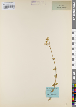 LE 01160746