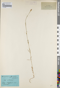 LE 01160826