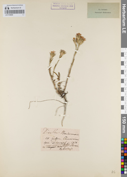 LE 01160829