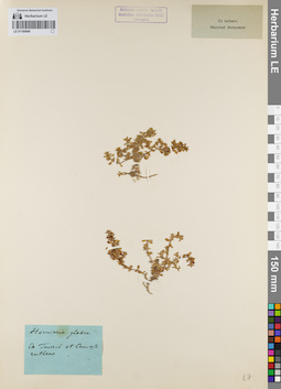 LE 01160849