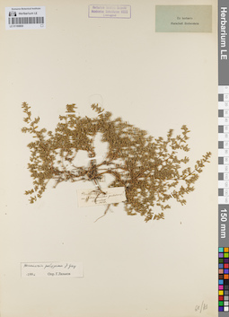 LE 01160850