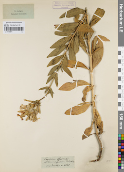 LE 01160875