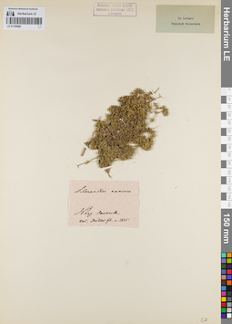LE 01160880