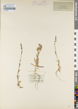 LE 01160894