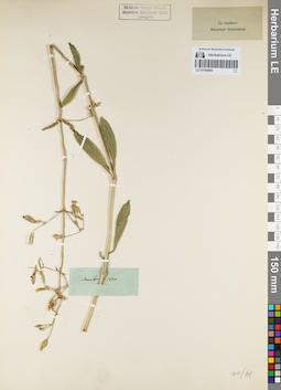 LE 01160906
