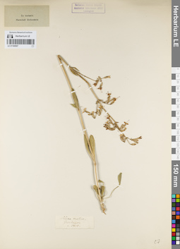 LE 01160907