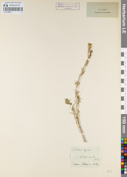 LE 01160918