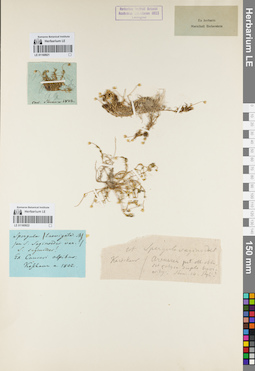 LE 01160922