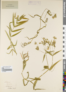 LE 01160925