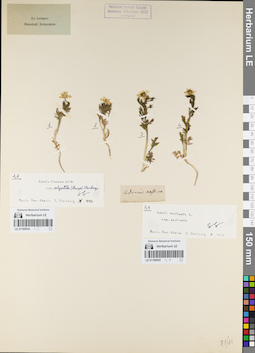 LE 01160934