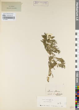 LE 01160936