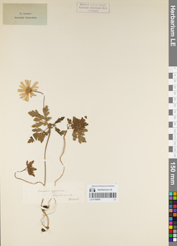 LE 01160947