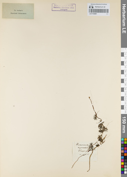 LE 01160991