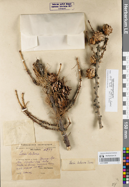 LE 01148096