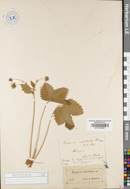 LE 01010087