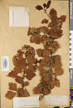 LE 01020582