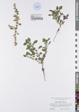 LE 01121288