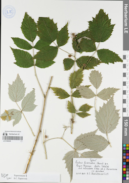 LE 01082026