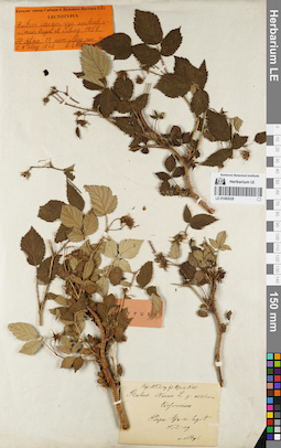 LE 01082029