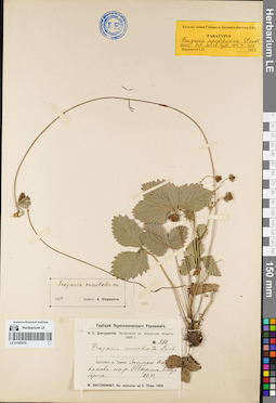 LE 01082035