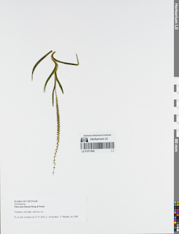 LE 01077842