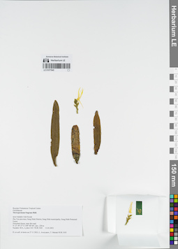 LE 01077845