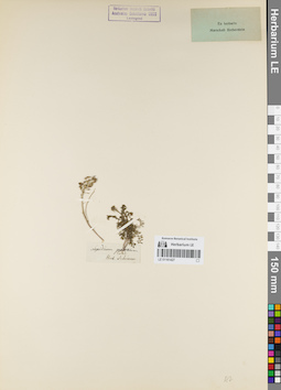 LE 01161427