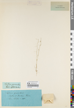 LE 01161429